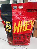 Протеїн Mutant Whey 4,5kg, фото 3