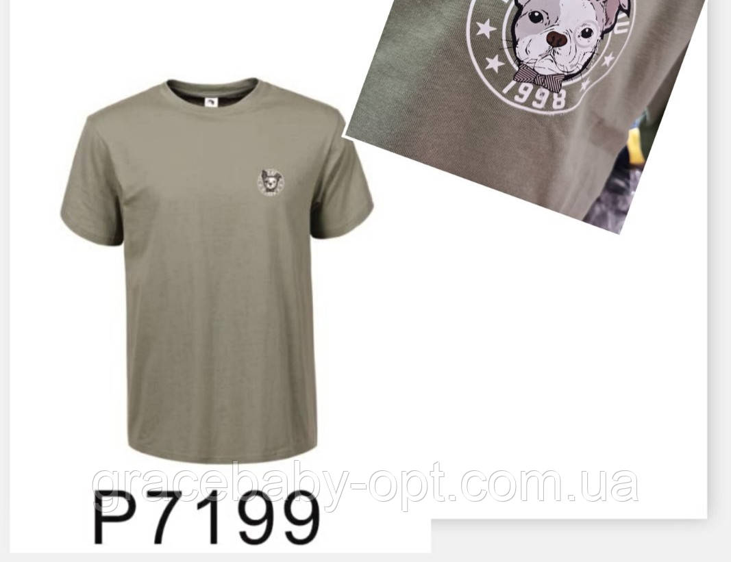 Футболка чоловіча оптом, Glo-story, S-2XL pp, № P7199
