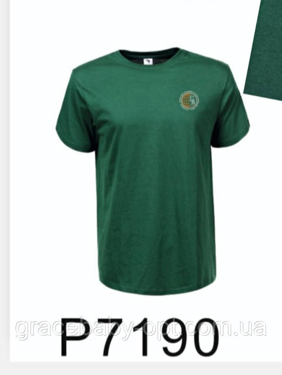 Футболка чоловіча оптом, Glo-story, S-2XL pp, № P7190