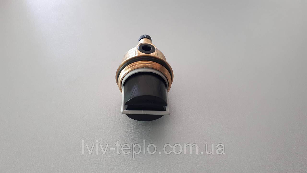2000801898 Автоматичний розвоздушиватель S1005600 Protherm, фото 1