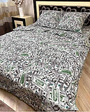 Комплект постільної білизни | Долари | Півтораспальний розмір, фото 3