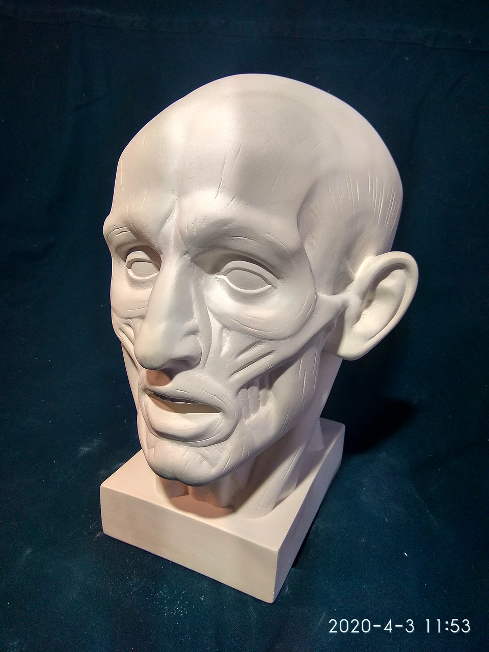 Экорше Микеланджело