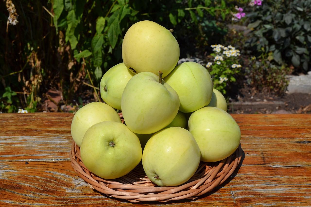 Яблуко "Папіровка", фото 1