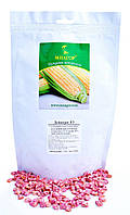 Сахарная кукуруза Дейнерис (Барселона) F1, Sh2-тип, 1000 семян на 1.5 сотки, 65-68 дней, ультраранний