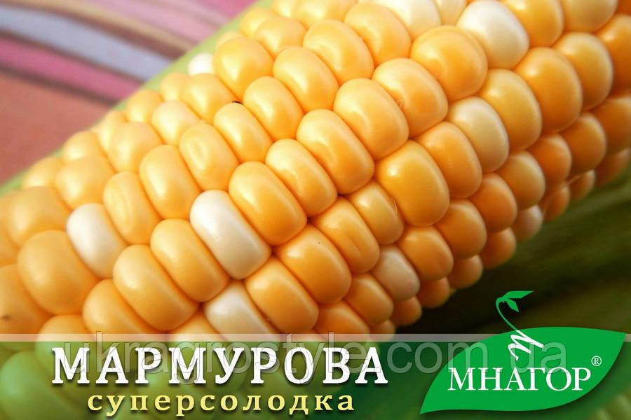 Цукрова кукурудза Мармурова F1, Sh2-тип, 100 000 насінин на 1.5 га, 75-78 днів, біколор