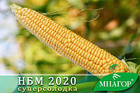 Кукурудза НБМ 2020 F1, Sh2-тип, 200 семеян, 75-78 дней, новинка