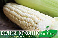 Сахарная кукуруза Белый Кролик F1, Sh2-тип, молочно-белое зерно, 200 семян на 30 м², 78-80 дней