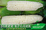 Цукрова кукурудза Білий Кролик F1, Sh2-тип, молочно-біле зерно, 200 насінин на 30 м2, 78-80 днів, фото 3