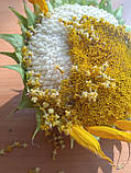 Семена белого подсолнуха 1 кг Органічне насіння соняшнику біле, фото 2