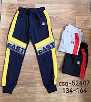 Штаны спортивные для мальчика Seagull 134-164 рр.оптом CSQ-52407