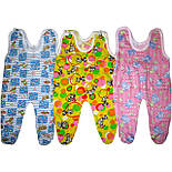 Повзуни на резинці начіс 05.01, фото 5