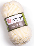 Пряжа Norway Yarnart-851