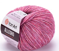 Пряжа Allegro Yarnart-702