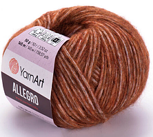 Пряжа Allegro Yarnart-720