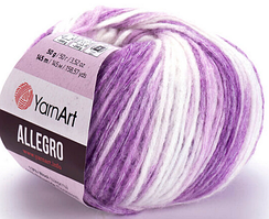 Пряжа Allegro Yarnart-743