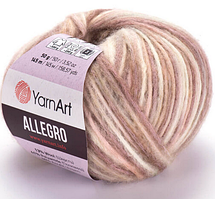 Пряжа Allegro Yarnart-750