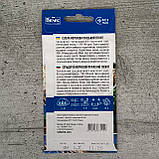 Селера коренева Празький гігант 0,3 г насіння пакетоване Велес, фото 2