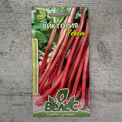 Коли пересаджувати ревінь: оптимальний час і правила пересадки