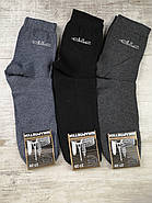 Чоловічі демісезонні бавовняні високі шкарпетки мікс, фото 2