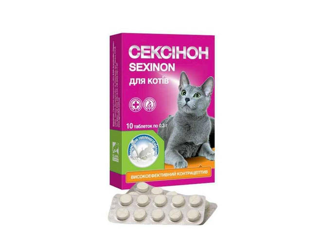 Seksi macke
