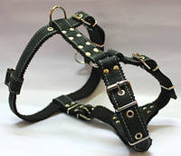 Шлея для собак "Ротвейлер" шкіряна