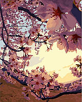 Картина по номерам Цветок яблони в закате, 40х50 Strateg (VA-3294)