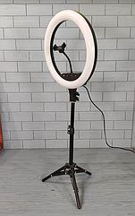 Кільцева LED лампа діаметром 36см зі штативом 1м, пультом, кріпленням для телефону Лампа кільцева Led AL-360