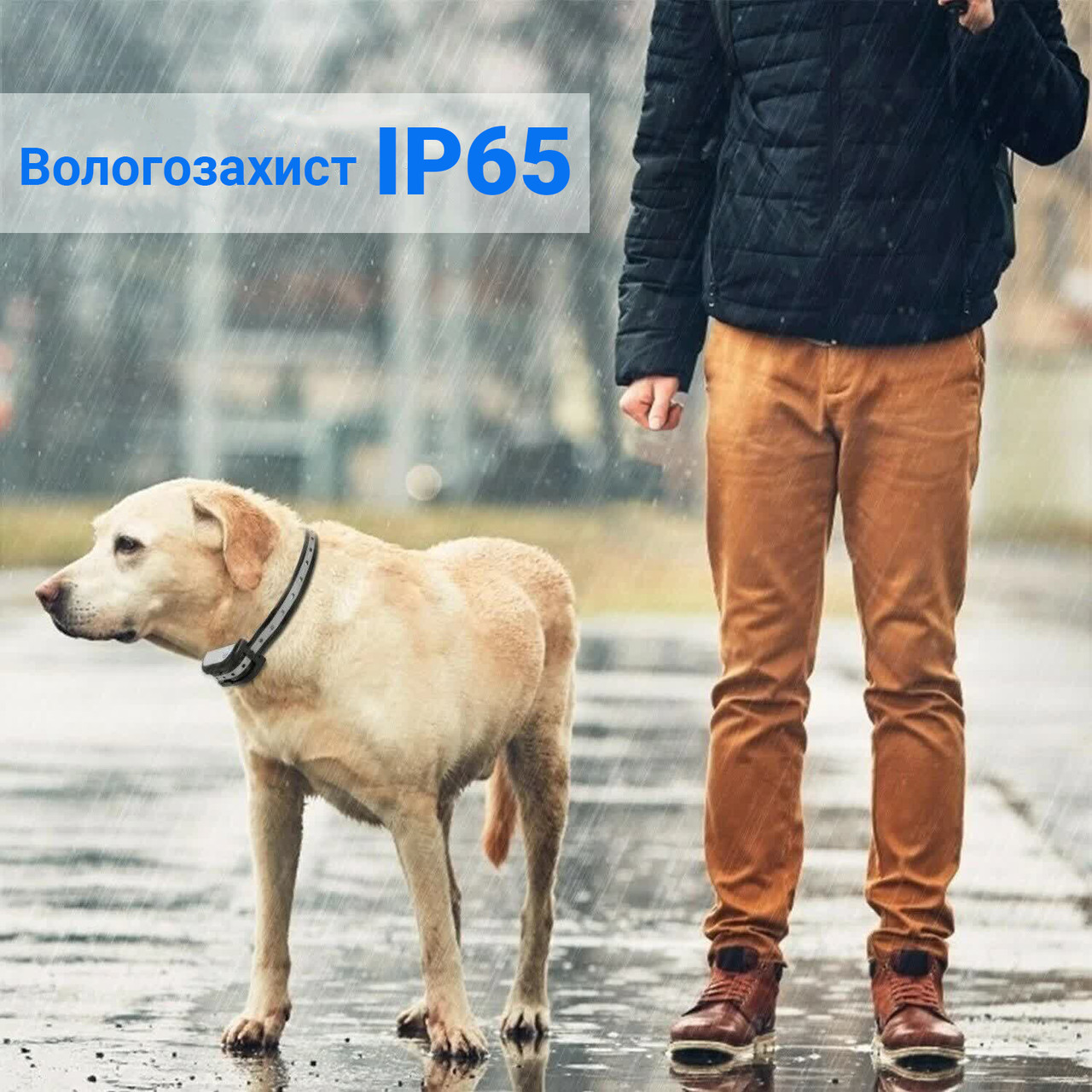 Беспроводной электронный забор для собак + электронный ошейник для дрессировки 2в1 Digital Lion YH883-1 - фото 10 - id-p1248979759