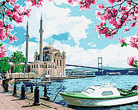 Картины по номерам - Яркий Стамбул КНО2757 ТМ Идейка 40х50 см