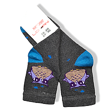 Шкарпетки дитячі демісезонні хлопчик розмір 27-30 темно сірі Lomani