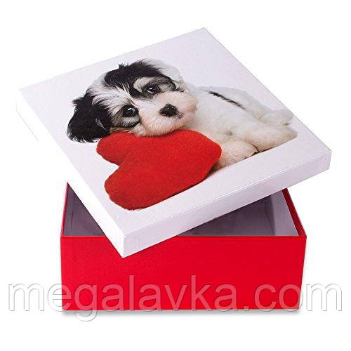 Коробка подарункова "Собака з серцем" 14 х 14 см - MegaLavka