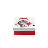 Коробка подарункова ООТВ Santa Cat 12 х 12 х 8 см - MegaLavka, фото 2