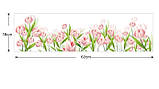 Декоративна наклейка бортик Тюльпани, фото 3