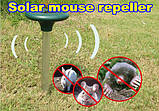 Відлякувач гризунів на сонячній батареї Solar Rodent Repeller, фото 3