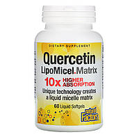 Natural Factors, кверцетин LipoMicel Matrix, 60 капсул з рідиною