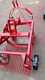 Картоплекопалка КТМ-1 для трактора однорядний гуркотний тип без кардану, фото 2