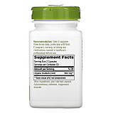 Nature's Way, корінь лопуха, 950 мг, 100 веганських капсул, фото 2