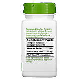 Nature's Way, Готу кола, 475 мг, 100 веганських капсул, фото 2