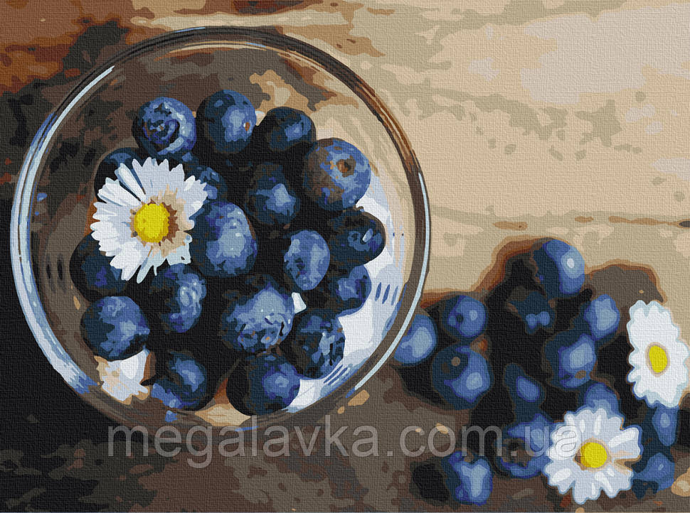 Картина по номерам. Art Craft "Дари літа" 40*50 см 12002-AC - MegaLavka