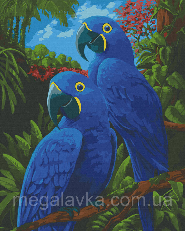 Картина по номерам. Art Craft "Блакитні ари" 40х50 см 11639-AC — MegaLavka