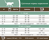 Сухий корм для котів Pronature Holistic Nordiko (Пронатюр Холістик Норд), беззерновий, індичкою з ягодами, 6 кг, фото 2