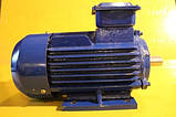Електродвигун АИР 90 LB8, фото 2