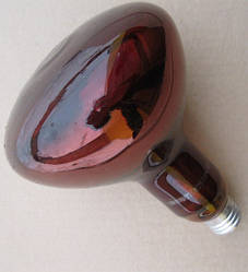 Інфрачервоні лампи обігріву молодняку ИКЗК 250 (Червона)