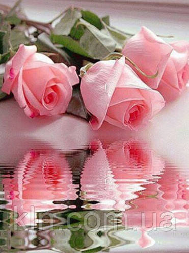 Алмазна вишивка Три троянди 30 х 40 см (арт. FR308) круглі камені, фото 1