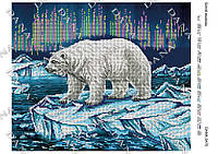А3 формат Білий ведмідь