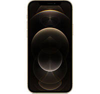 IPhone 12 Pro Max 256GB Gold A14 Bionic 3687 мАг, фото 3