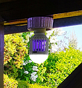 Антимоскітна світлодіодна лампочка Noveen IKN804 LED з цоколем Е27, Польща, фото 3