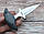 Push Dagger GW 2761, фото 6