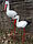 Лелека середня на металевих ногах, фото 3