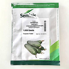 Насіння огірка СВ 4097 F1 (SV 4097 F1) Seminis 250